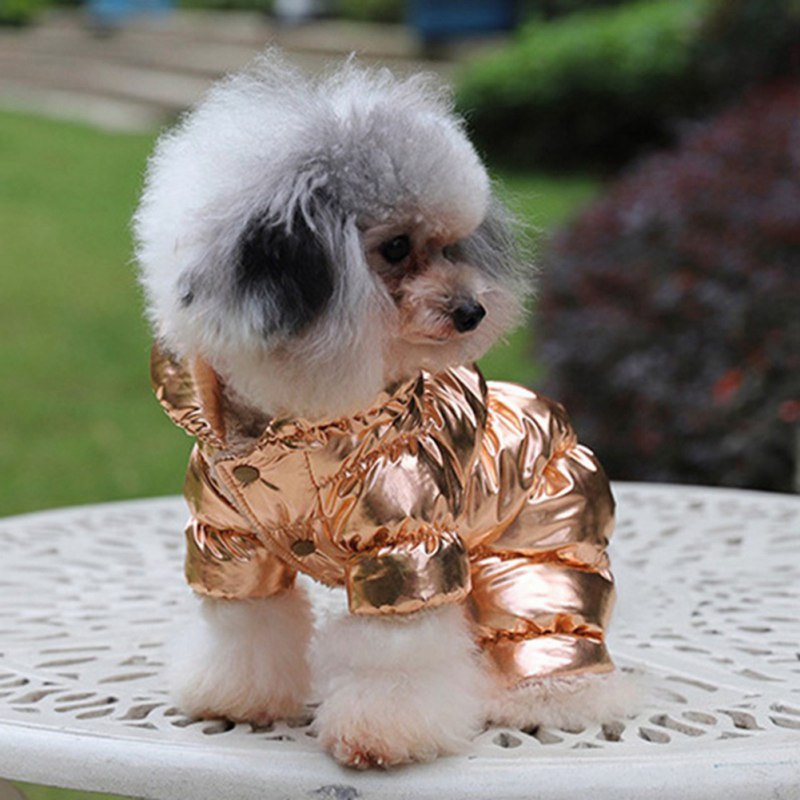 Waterproof Winter Pet Dog Jacket Coat Warm Clothes for Small Medium Dogs French Bulldog Pug Jumpsuits Puppy Chihuahua Clothing